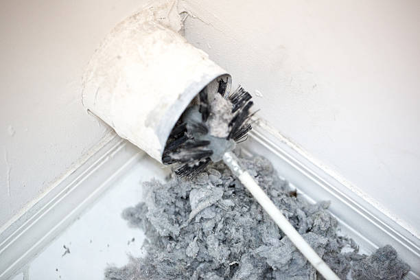 Best Air Duct Inspection  in South Laurel, MD